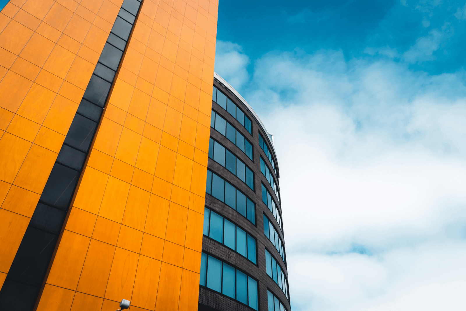 تصميم بدون عنوان (42)